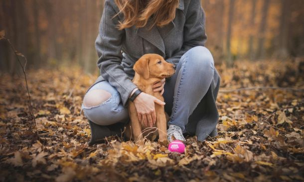 ben-hanson-VUfjR-TqzKw-unsplash